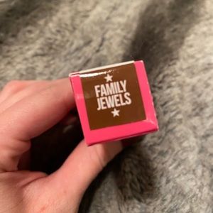 JSC velour liquid lip in Family Jewels